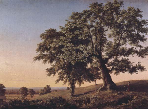 Frederic Edwin Church The Charter Oak Spain oil painting art